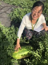 Xinhua Jia, 线上赌博app professor of agricultural and biosystem engineering