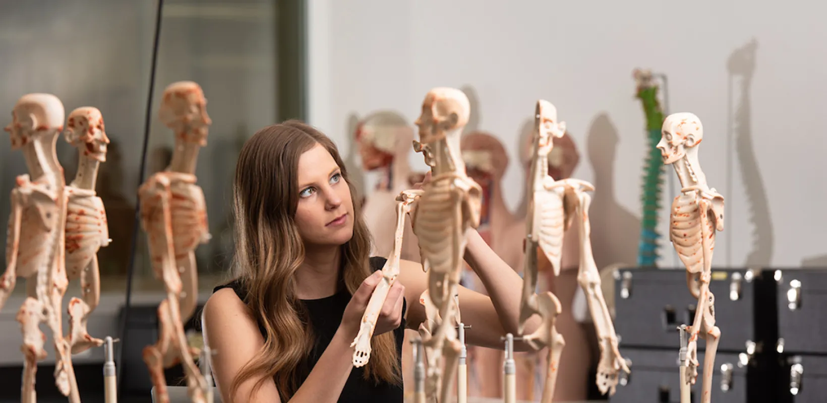 student inspecting skeleton