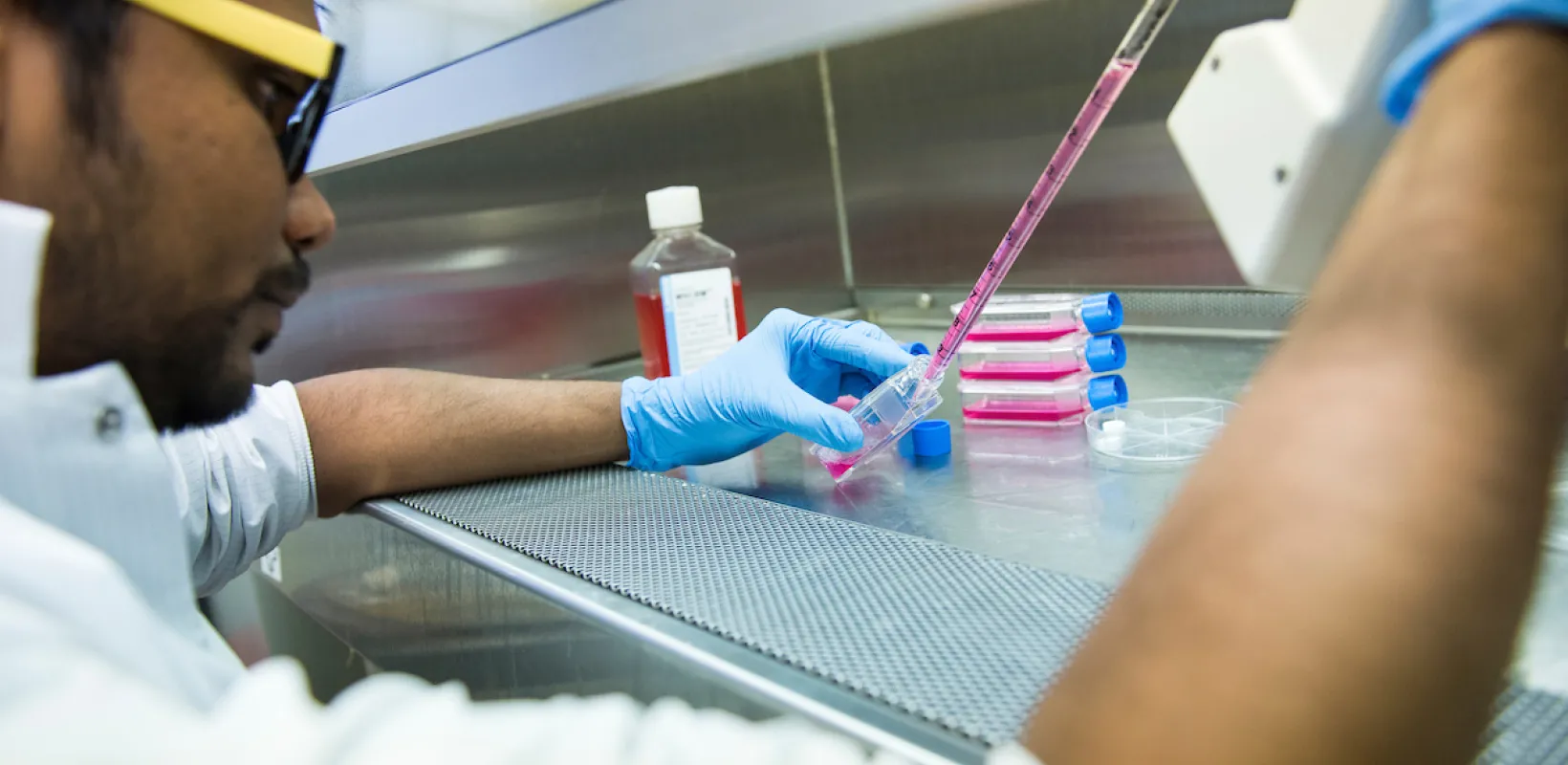 student working with biomedical samples