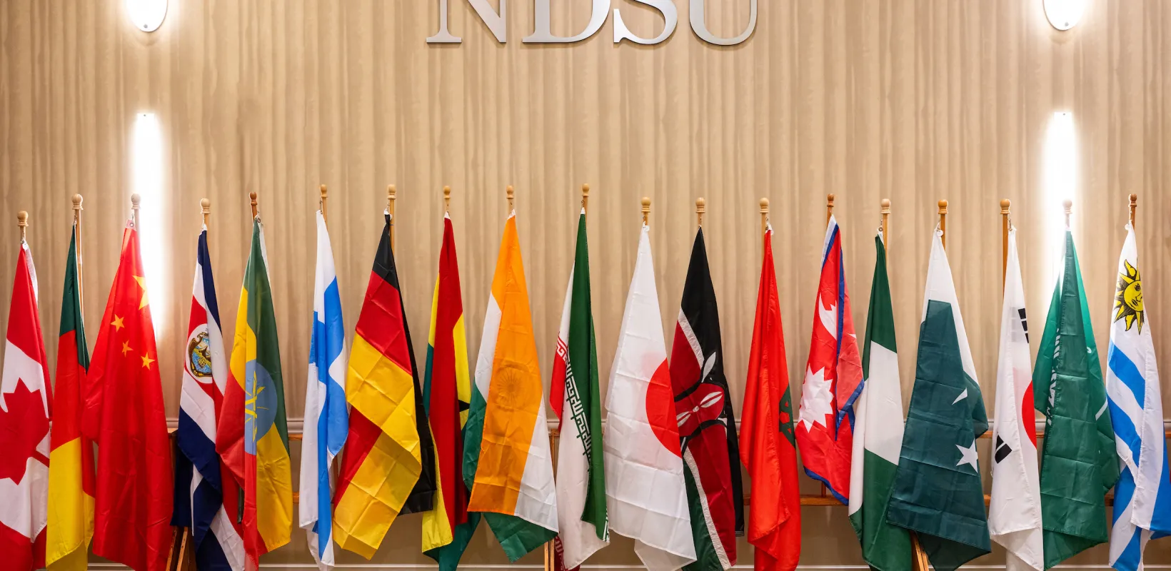 Flags in a row under 线上赌博app logo