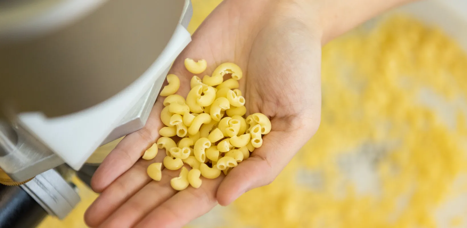 close up of pasta that was made by students