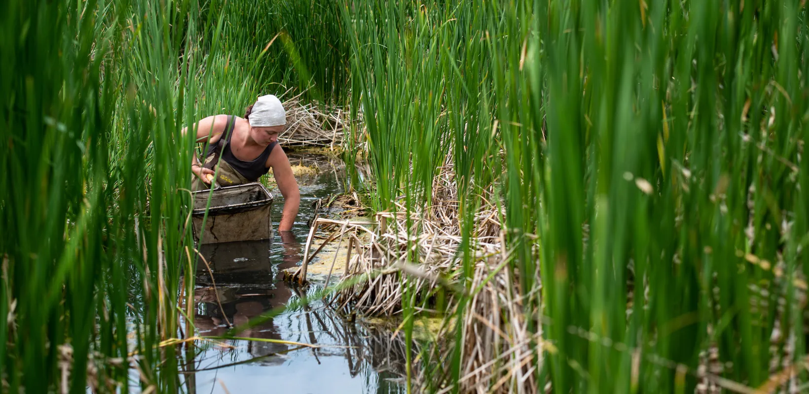 student collecting water samples from a stream