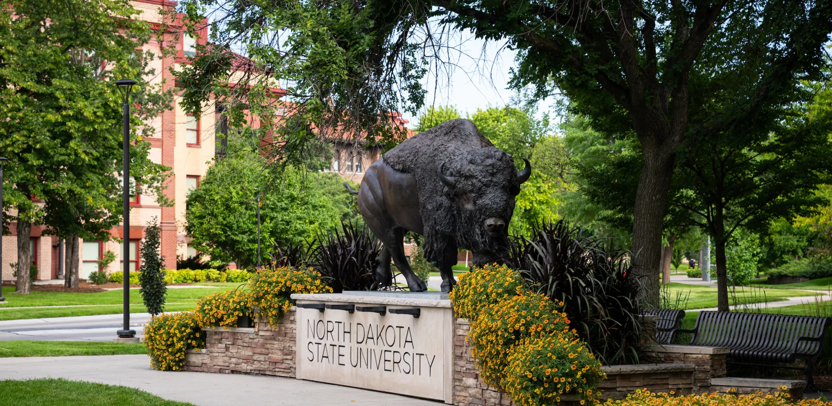 Bison statue on the 线上赌博app campus