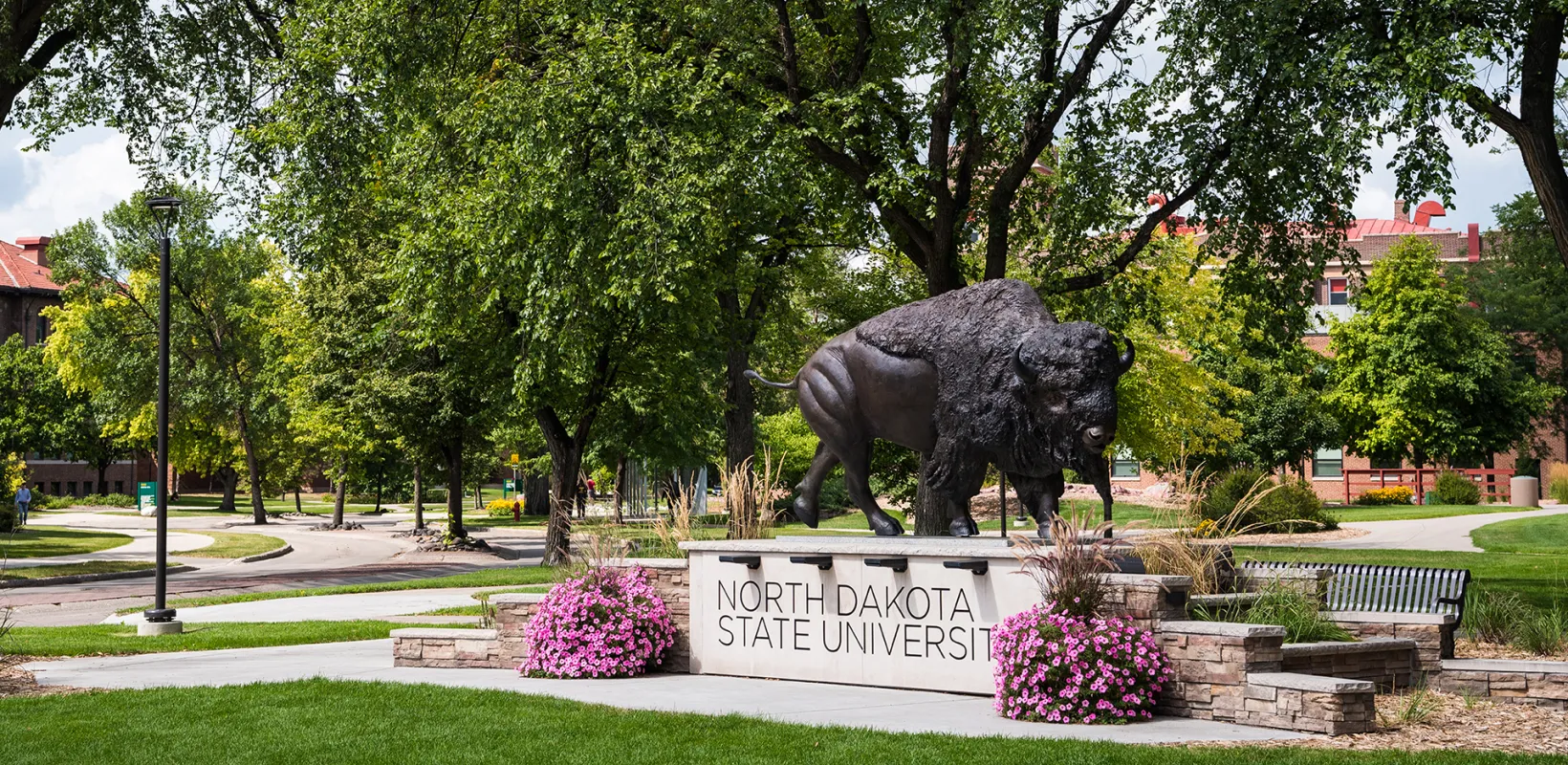 Bison Statue in summer months