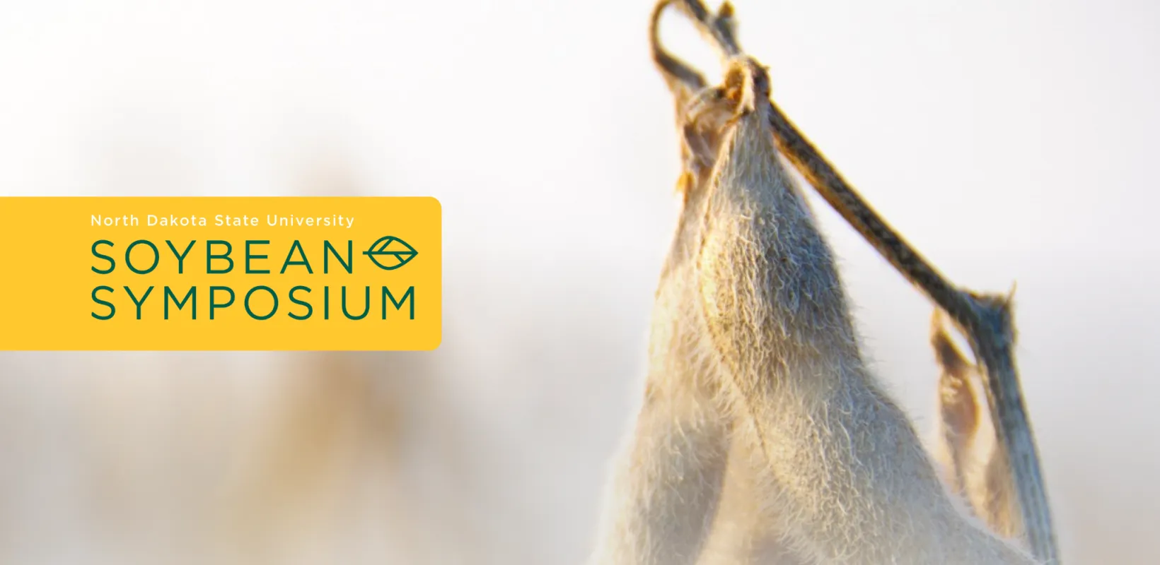 Soybean Symposium