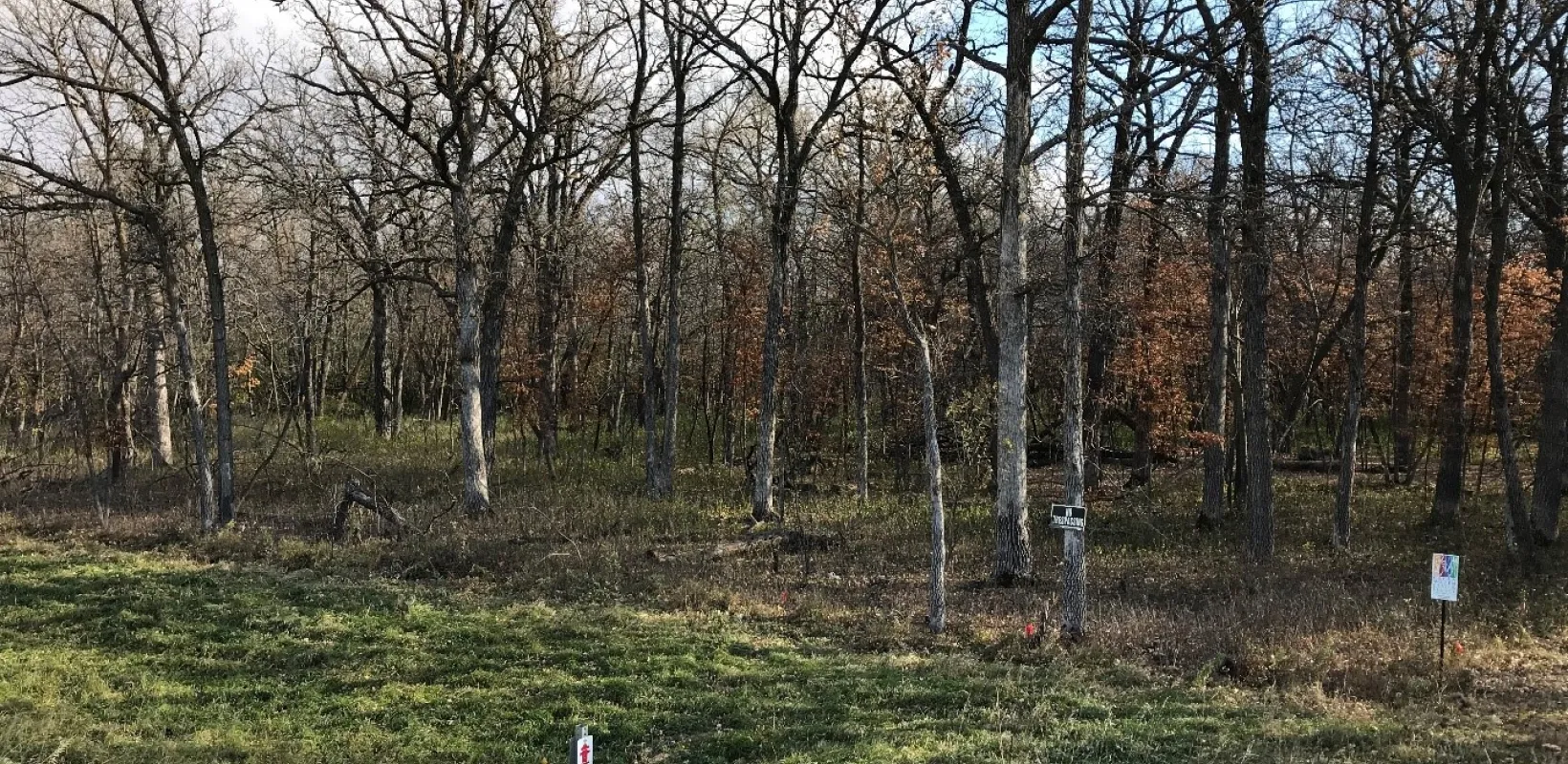 photo of cassel woods