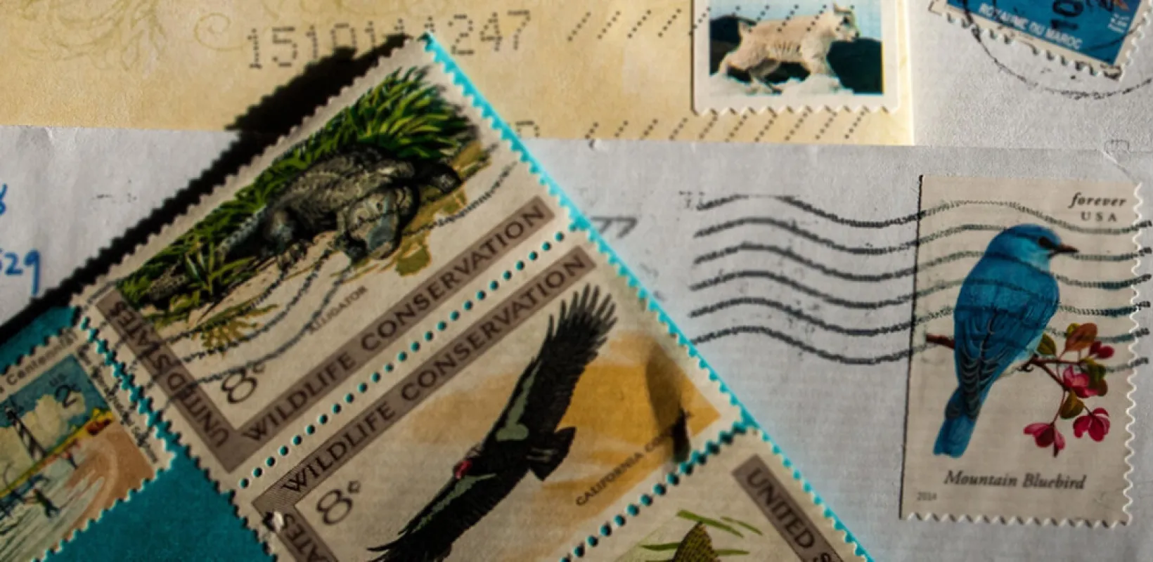 Postage stamps on a transcript being mailed