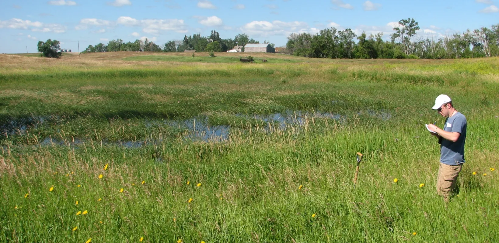 Student writing in notebook while standing in a field with green grass and standing water with trees in background.