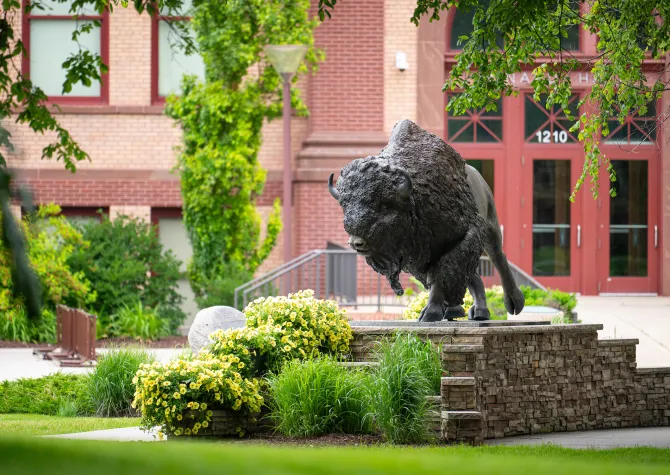 Bronze statue of a Bison on the 线上赌博app campus