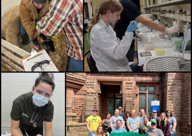 collaegue of ANSC photos