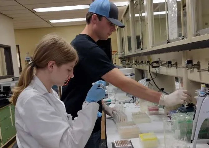 lab researchers using pipettes to test samples