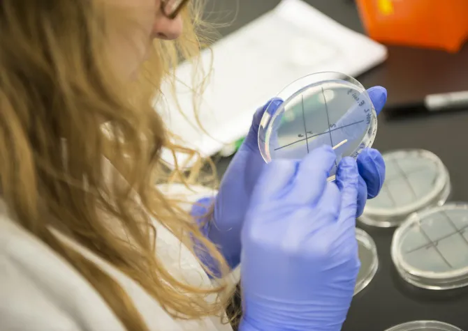 Student working in a lab wearing blue gloves and a white lab coat. 