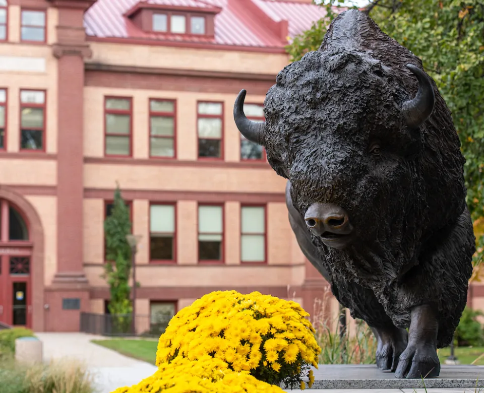 Bison statue on 线上赌博app campus