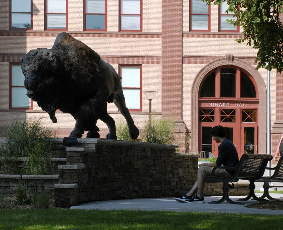 Student sitting on bench near Bison statue.
