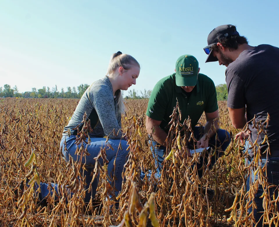 Agriculture students learning from professor in field