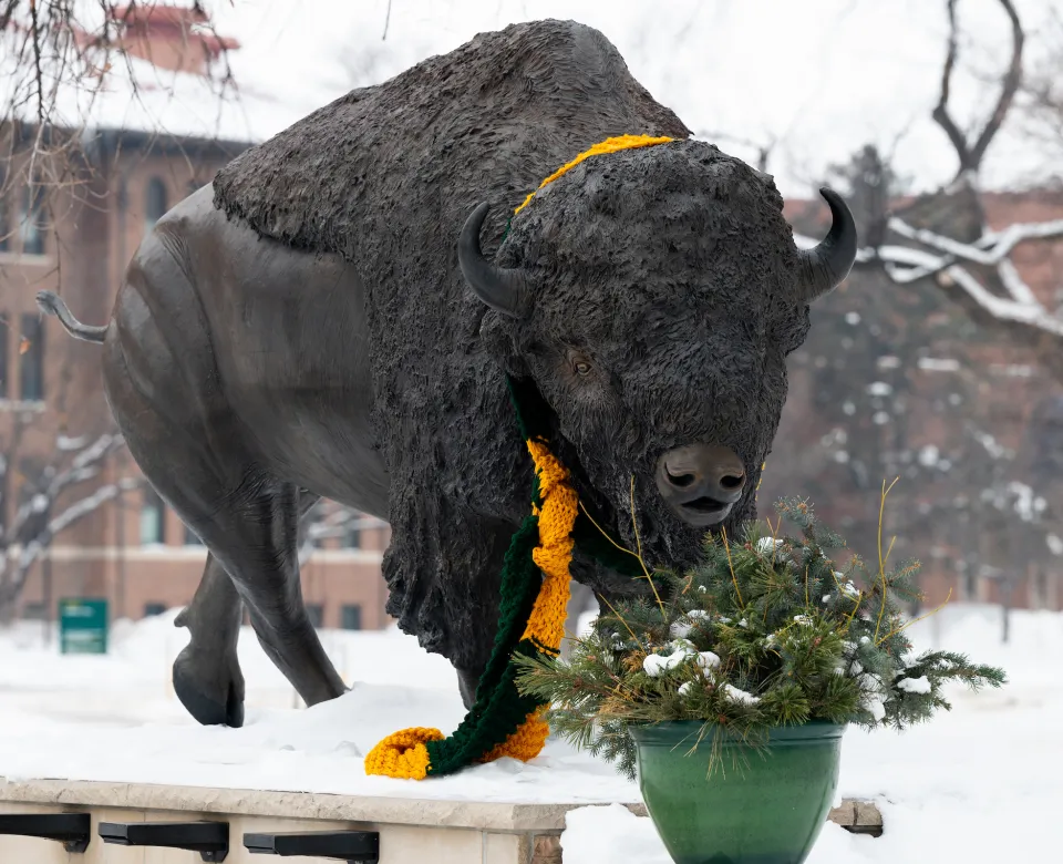 Bison Statue in the winter with a yellow and green scarf tied around his neck