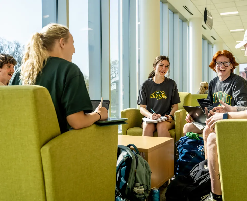 Students studying in lounge