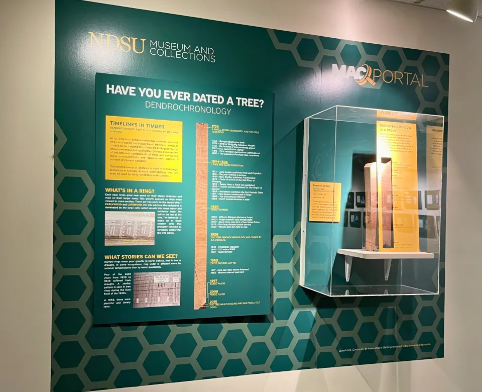 Have you ever dated a tree MAC display including a poster overview and display case.