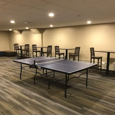 Ping Pong Table