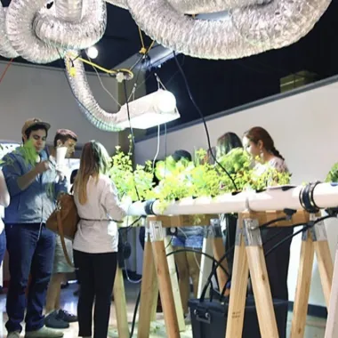People stand around a hydroponic plant station