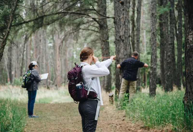 A woman faces away using a tool to determine if a tree should be included in a plot
