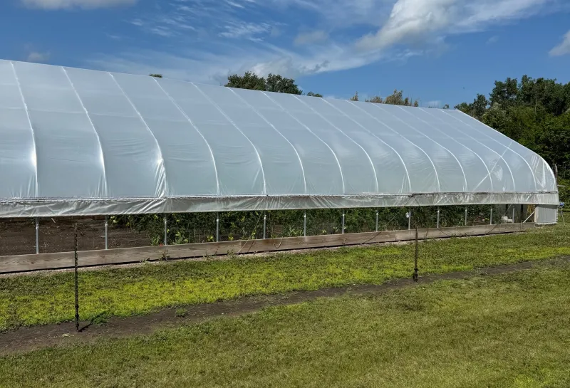 High Tunnel at 线上赌博app Hort Farm