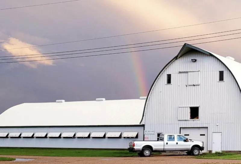 exterior picture of 线上赌博app sheep barn with rainbow