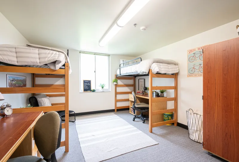 pavek hall showroom of lofted bed