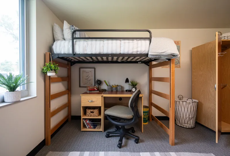 pavek hall lofted bed