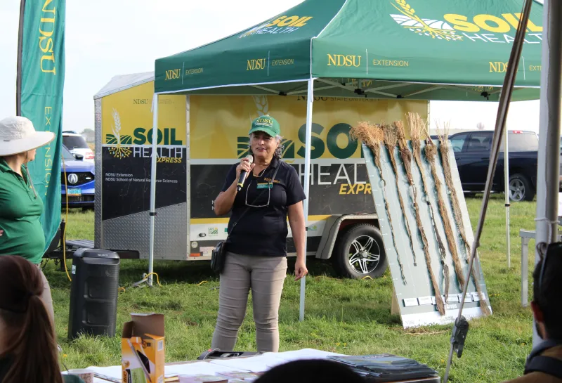 Cover Crop, Intercropping, Soil Health