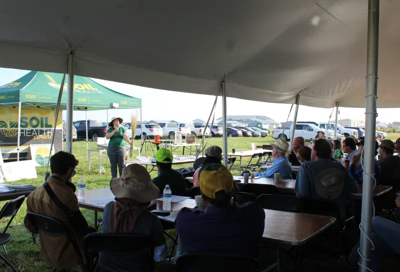 Cover Crop, Intercropping, Soil Health