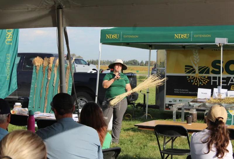 Cover Crop, Intercropping, Soil Health