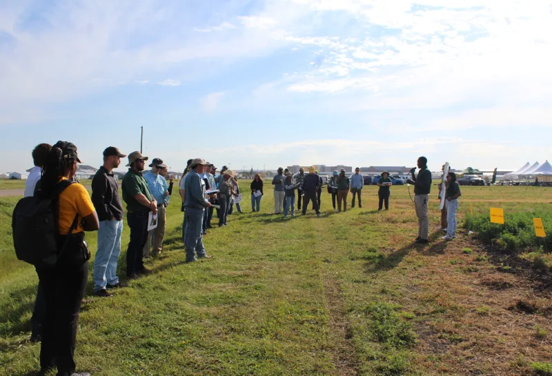 Cover Crop, Intercropping, Soil Health