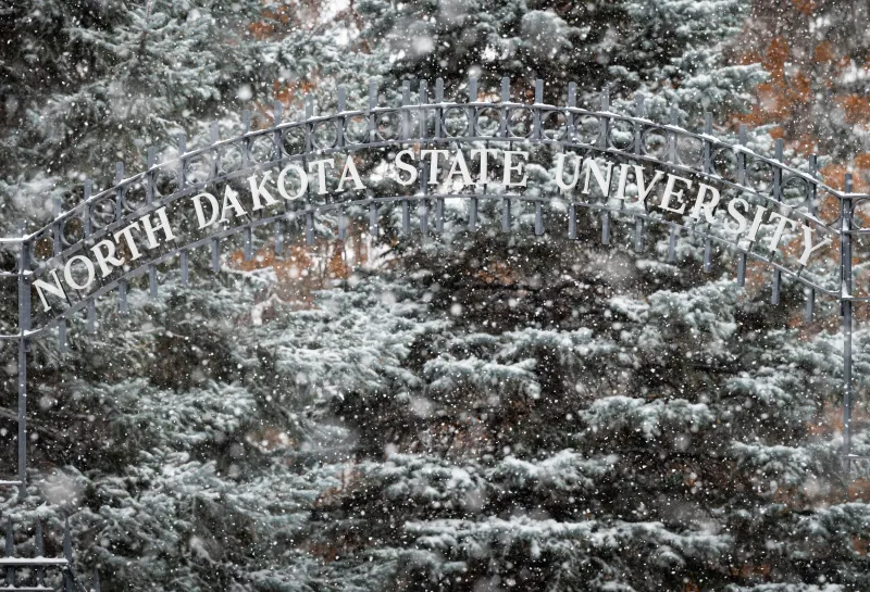 线上赌博app 主要 gate on a winter day