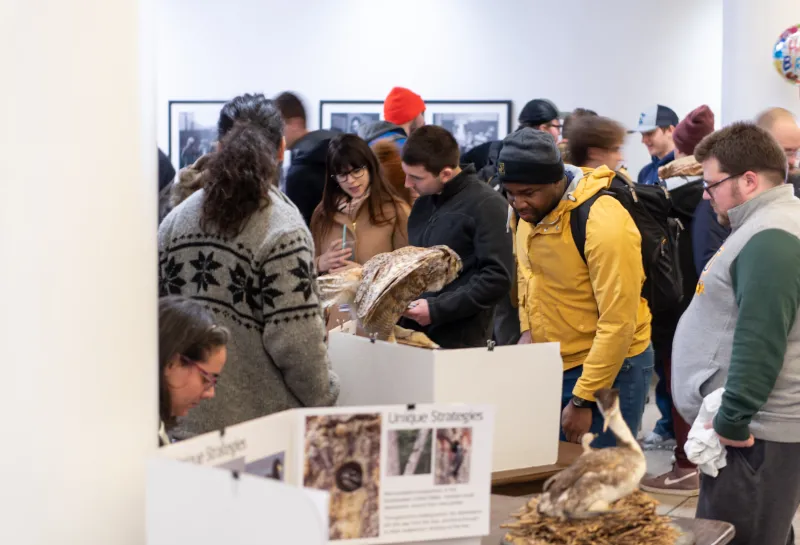 线上赌博app 达尔文的日子 Evolution Pop-Up Museum