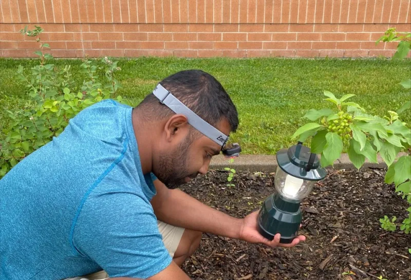 Lekhar working in a garden holding a camping lamp.
