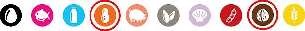 Peanut and tree nut icon circled