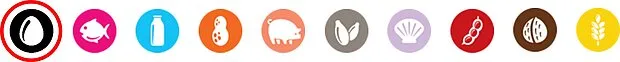 egg allergen icon circled