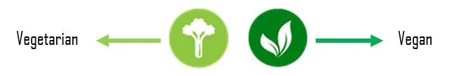 vegetarian vegan icon