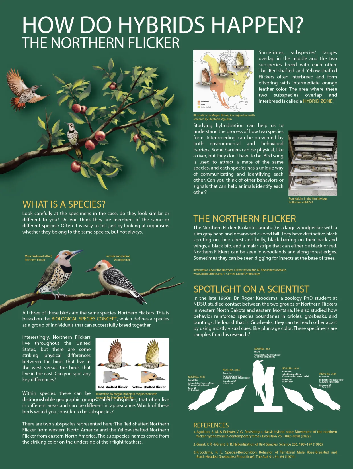 Explanation of Portal for How Hyrbrids happen