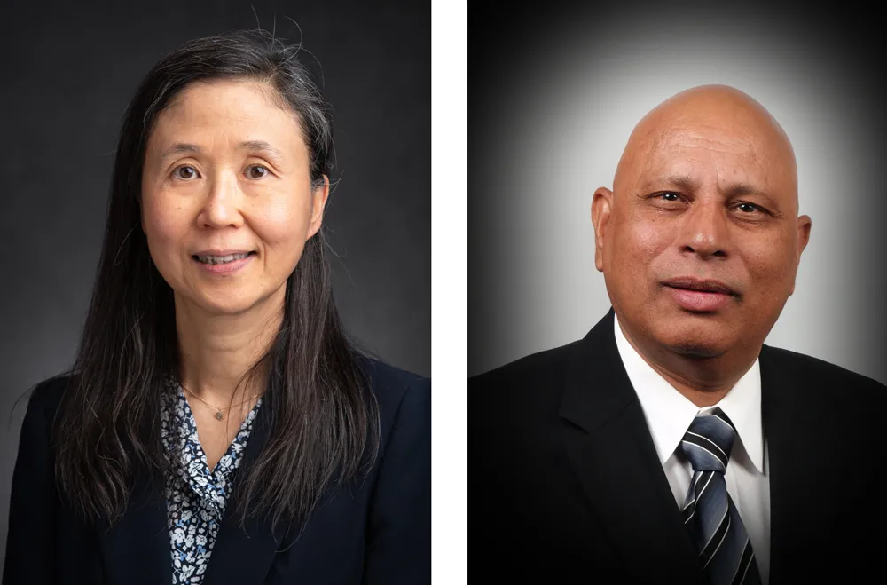 Distinguished professors