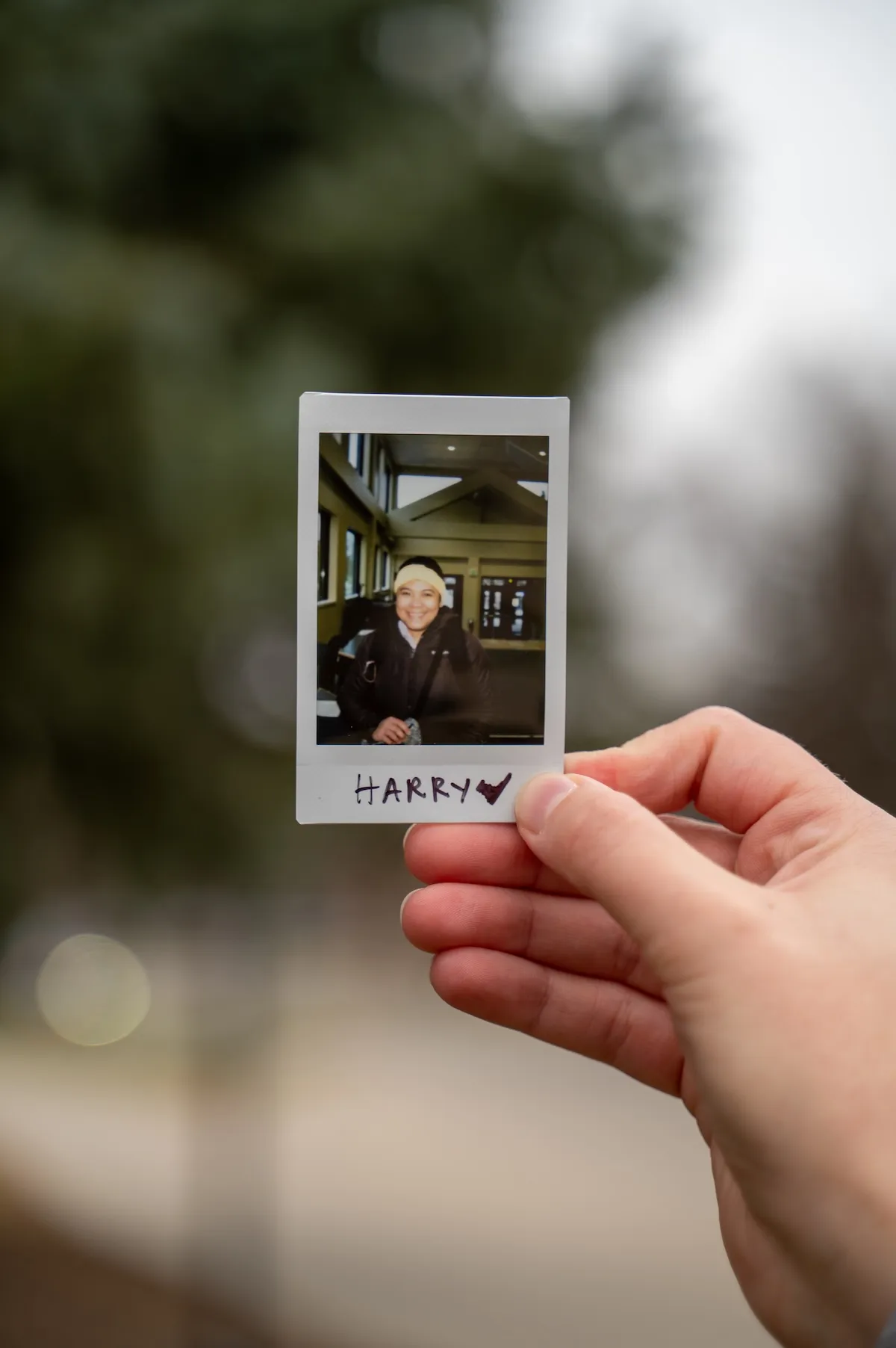 线上赌博app student