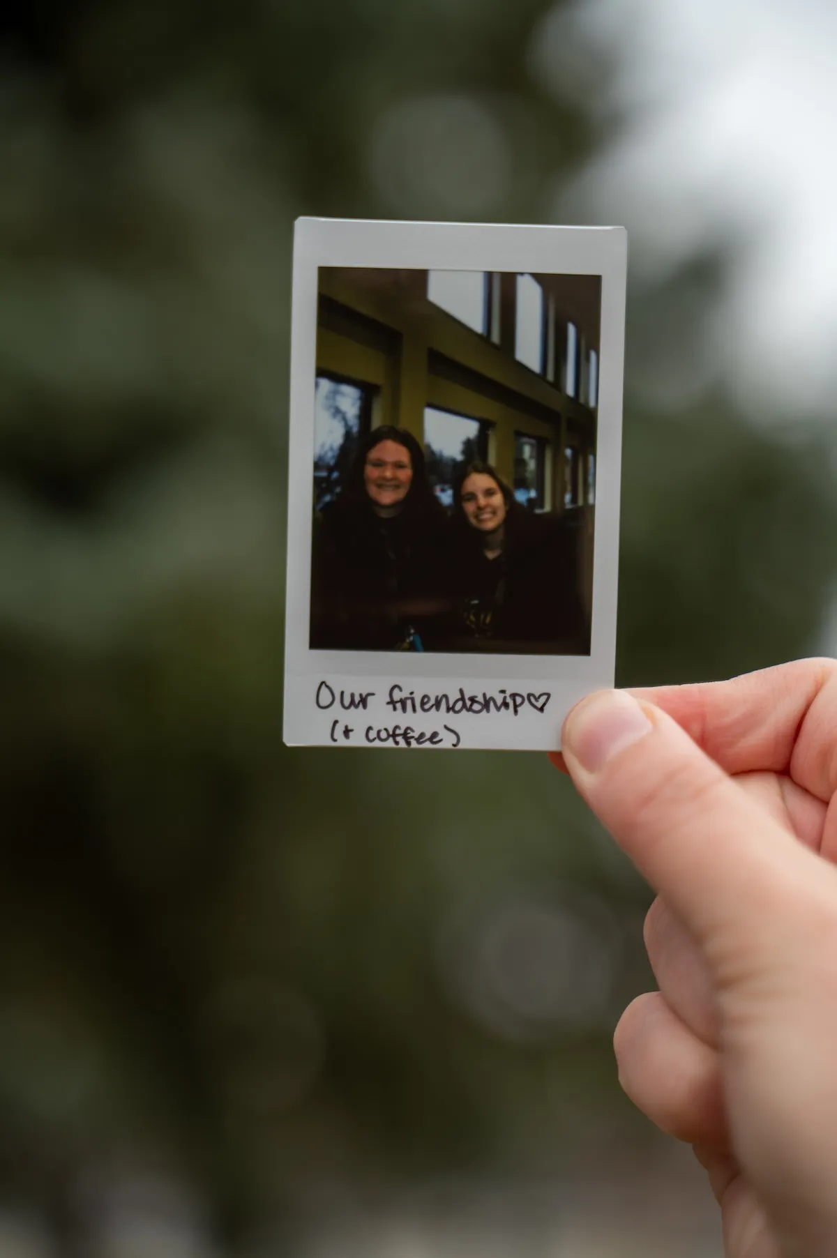 线上赌博app students