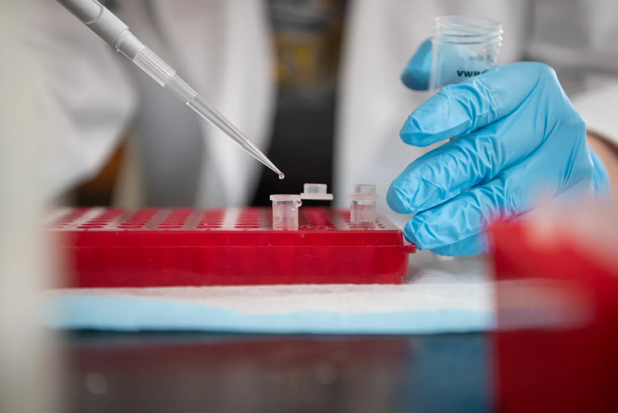 Pipette dispensing liquid into tube.