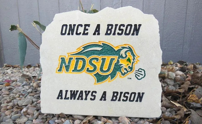 Once a Bison, Always a Bison