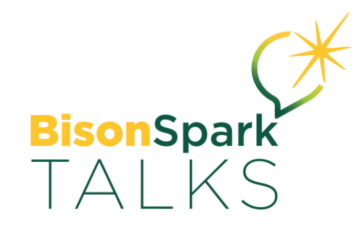 BisonSpark Talks logo