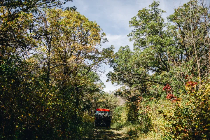 A UTV drives down a path in a forest in autumn