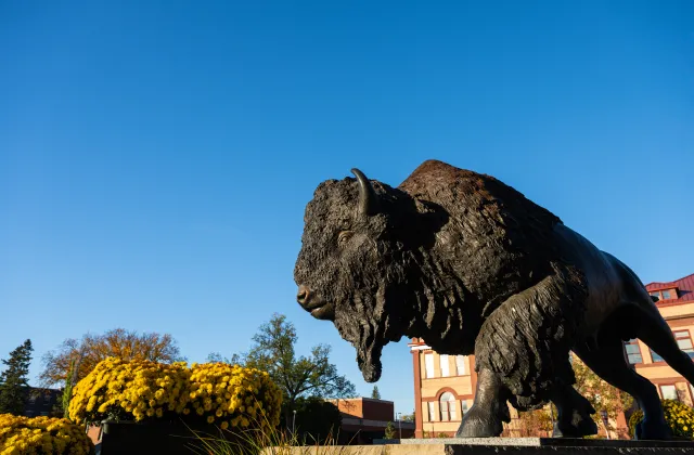 Bison Statue