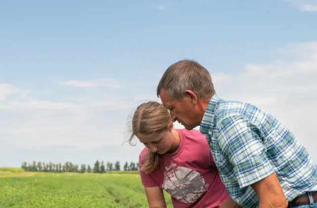 Two people in field looking at crop